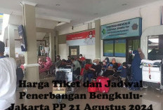 Harga Tiket dan Jadwal Penerbangan Bengkulu-Jakarta PP, 21 Agustus 2024