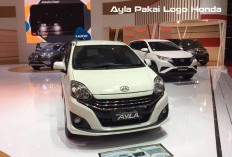 VIRAL! Ditemukan Ayla Pakai Logo Honda, Ini Penjelasannya 