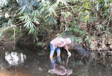 Sungai Perumbaian Berubah Warna dan Busuk, Pencemaran? Begini Tanggapan PT CBS, DHL Ambil Sampel