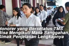 Honorer yang Bersetatus TMS Bisa Mengikuti Masa Sanggahan, Simak Penjelasan Lengkapnya