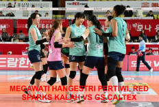 Red Sparks Vs Gs Caltex, Megawati Telan Pil Pahit!