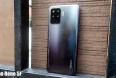 Pernah Unggul Pada Masanya, Ini Spesifikasi Oppo Reno 5F