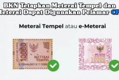 PENTING! BKN Tetapkan Meterai Tempel dan E-Meterai Dapat Digunakan Pelamar CPNS 