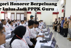 Kategori Honorer Berpeluang Besar Lulus Jadi PPPK Guru 2024, Cek di Sini Katagorinya