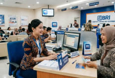Tabel KUR BRI 2026 Terbaru, Pinjam Rp 30 hingga Rp 60 Juta, Cicilan Mulai Rp 650 Ribu