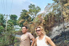 Karhutla Hanguskan 2 Hektare Kebun Pinang   di Nasal, Diduga Inilah Sumber Apinya!