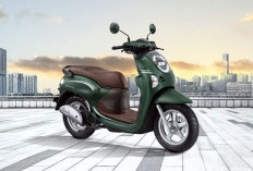 Honda Scoopy, Motor Modern Kaum Hawa