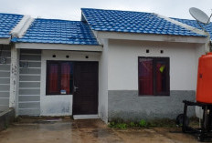 Intip Kelebihan dan Kekurangan Rumah Subsidi, Solusi Hunian Terjangkau Untuk Keluarga Kecil