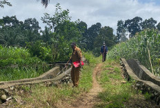 13 Saksi Sudah Diperiksa, Dugaan Korupsi DD Bandar Agung Memanas, Penyidik Cek Lokasi Pembangunan