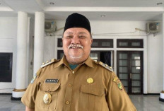 Pembangunan Bergantung APBD, Bupati Cari Investor Asing Demi Bangun Bengkulu Selatan