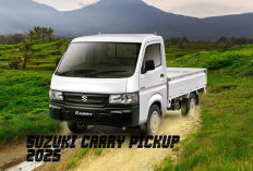 Suzuki Carry Pickup 2025 Mobil Handal dengan Segala Bawaan Termasuk Beban Berat