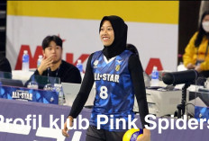 Kontrak dengan Red Sparks Habis, Kepoin Yuk Profil Klub Pinks Spiders yang Bakal Rekrut Megawati!