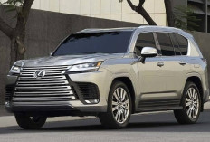 Kepoin Perbedaan Spesifikasi Lexus LX 600 Vs Suzuki APV Arena! Mana yang Lebih Unggul?