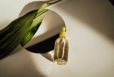 Pilihan Terbaik untuk Kecantikan, Ini Manfaat Jojoba Oil Bagi Kulit Wajah!