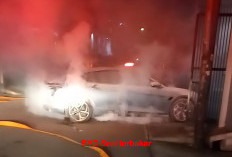 BYD Seal Terbakar di Palmerah, Diduga Ini Penyebab Utamanya 