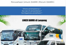 LOKER DAMRI di Lampung Gaji Menggiurkan, SMA/SMK Bisa Daftar, Cek di Sini