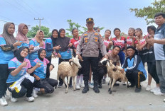 Kapolres Cup 2026 Resmi Ditutup, Tim Voli Putri Desa Tanjung Beringin Raih Juara I