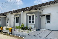 Inspirasi Desain Renovasi Rumah Subsidi Modern 2026, Ruangan Terasa Luas Nyaman dan Estetis