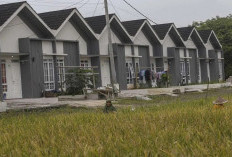 Dampak Program Rumah Subsidi Terhadap Pertumbuhan Ekonomi dan Penurunan Kemiskinan