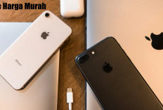 Punya Uang di Bawah Rp 5 Jutaan, Ini Daftar iPhone Harga Murah, Ada yang Cuma Rp 2 Jutaan