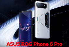 HP ASUS ROG Gaming Bekas 2025, Harga Murah dan Makin Laris, Kini Porpuler Main Game! 