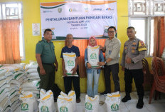 Perum Bulog Kanwil Bengkulu Salur Beras 3.247 Ton, Kabupaten Kaur Kebagian 220 Ton