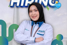 Daftar Sekarang BUMN PT Mitra Utama Madani Sedang Buka Loker! Ini Persyaratannya