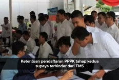 Pendaftaran PPPK Tahap Kedua Baru Beberapa Hari Tapi Sudah Banyak TMS, Perhatikan Ketentuan Ini 