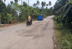 4 Tahun Jalan Provinsi Rusak Parah, Warga Bengkulu Selatan Minta Perhatian Serius Pemprov