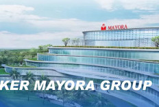 Kembali di Buka Loker Mayora Group Untuk Lulusan D3/S1, di Sini Cek Persyaratannya!