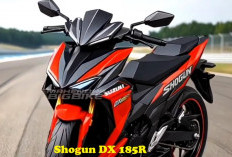 Mau Dikejar Cewek Cantik, Anak Muda Pilih Shogun DX 185R, Motor Bebek Terbaik Masa Kini