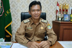 Program Swasembada Pangan, 31 Hektar Lahan Rampung Tanam Padi Gogo