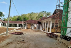 Rumah Sakit Pratama Diklaim 100 Persen, Tapi Pembayaran Belum Full, Ini Kata Dinkes Kaur 