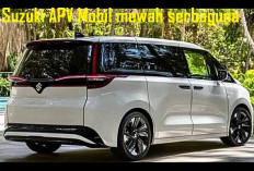 Ternyata Suzuki APV 2025 Mobil Serbaguna dan Mewah, Untuk Usaha Juga Mobil Keluarga