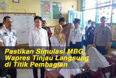 Pastikan Simulasi MBG, Wapres Tinjau Langsung di Titik Pembagian 