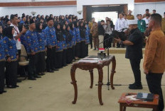 Proses Pengesahan Berkas PPPK Paruh Waktu Bengkulu Capai 98 Persen, Penggajian Dipastikan Mulai 2026