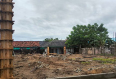 Kaur Akan Miliki 55 Gerai Sembako KDKMP, Apakah Akan Tingkatkan Ekonomi? 