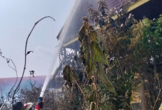 Kebakaran Lahan Kembali Terjadi, Berikut Peringatan Kepala Dinas Damkar Kaur! 