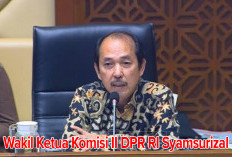 DPR RI Minta Bawaslu Untuk Mengawasi   Penggunaan Sirekap di Pilkada 2024