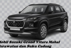 Dua Mobil Suzuki Perawatan Mahal, Suku Cadang Susah Didapat, Ini Jenis Mobilnya