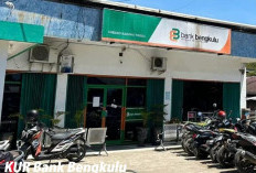 Solusi Tepat Pinjam KUR Hanya Ada di Bank Bengkulu Loh, Usaha Anda Pasti Jalan