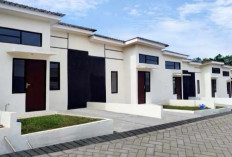 Ini Keuntungan Investasi Perumahan Subsidi yang Wajib Diketahui Sebelum Membeli Rumah Pertama Anda