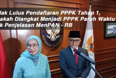 Tidak Lulus Pendaftaran PPPK Tahap 1, Apakah Diangkat Menjadi PPPK Paruh Waktu? Cek Penjelasan MenPAN - RB