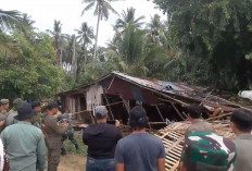 Bukan Hanya Bongkar Warem, Pemkab Bengkulu Selatan Juga Siapkan Solusi Usaha Baru