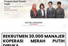 Lowongan Kerja Kopdes Merah Putih Diserbu Banyak Peminat Tembus 383.830 Pendaftar