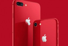 Mau iPhone Murah Tapi Tetap Premium? Ini Seri Bekas yang Layak Dibeli