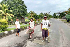 Banyak Makan Korban, Warga Pino Raya Bengkulu Selatan Gotong Royong Tambal Jalan Berlubang