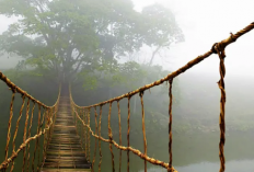 Jembatan Penghubung di Kulik Sialang Lapuk, Kondisinya Mengancam Keselamatan Warga
