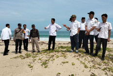 Sungai Muara Tetap Dinormalisasi, Wabup: Untuk Jangka Panjang Diajukan ke BWS Sumatra VI 