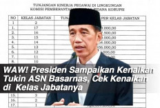 WAW! Presiden Sampaikan Kenaikan Tukin ASN Basarnas, Cek Kenaikan di  Kelas Jabatanya